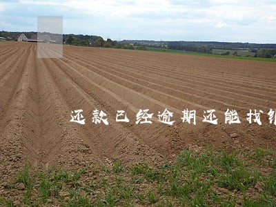 还款已经逾期还能找银行宽限吗 还款已经逾期还能找银行宽限吗