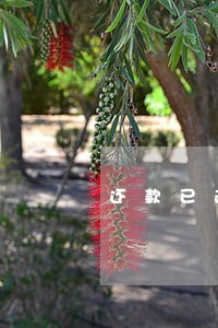 还款已逾期能申请只还本金吗 还款已逾期能申请只还本金吗