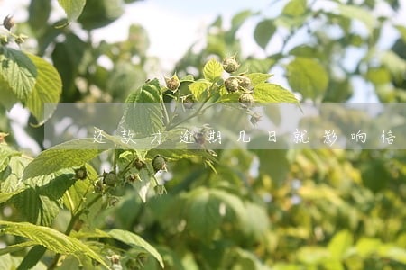 还款才逾期几日就影响信用了 还款才逾期几日就影响信用了