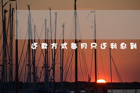 还款方式每月只还利息到期还本金