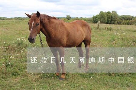 还款日几天算逾期中国银行 还款日几天算逾期中国银行