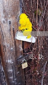 还款日当天24小时还款算逾期吗 还款日当天24小时还款算逾期吗