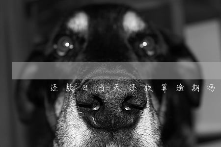 还款日当天还款算逾期吗网贷 还款日当天还款算逾期吗网贷