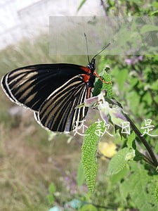 还款日是5号几号算逾期三天