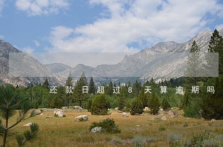 还款日超过8天算逾期吗 还款日超过8天算逾期吗