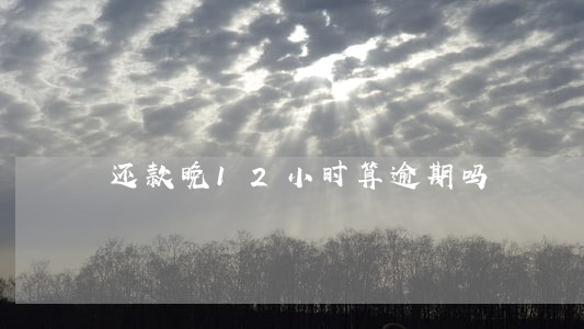 还款晚12小时算逾期吗 还款晚12小时算逾期吗