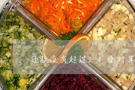 还款没有超过24小时算逾期吗 还款没有超过24小时算逾期吗