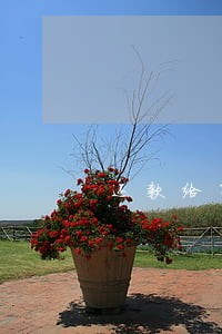 还款给第三人法院不支持 还款给第三人法院不支持
