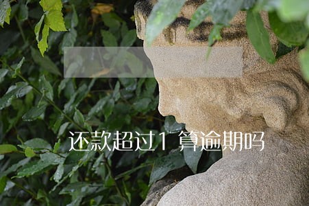 还款超过1算逾期吗 还款超过1算逾期吗