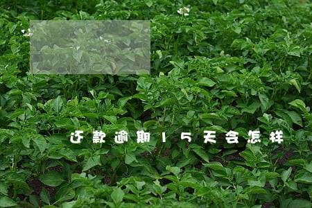 还款逾期15天会怎样 还款逾期15天会怎样