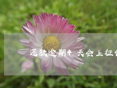 还款逾期4天会上征信吗 还款逾期4天会上征信吗