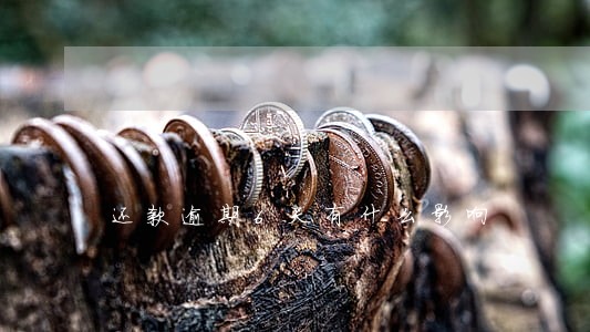 还款逾期6天有什么影响 还款逾期6天有什么影响