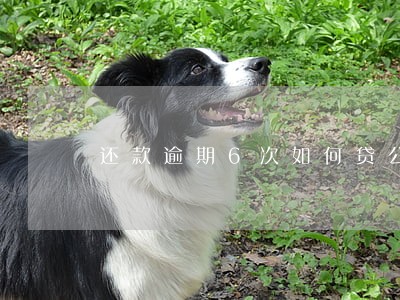 还款逾期6次如何贷公积金 还款逾期6次如何贷公积金