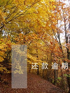 还款逾期7天会怎么样 还款逾期7天会怎么样