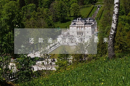 还款逾期8天的后果 还款逾期8天的后果