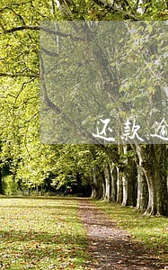 还款逾期两天会影响信用吗 还款逾期两天会影响信用吗