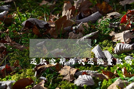 还款逾期两次还能贷款吗 还款逾期两次还能贷款吗