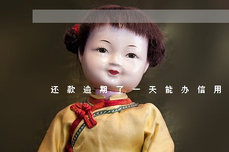 还款逾期了一天能办信用卡吗