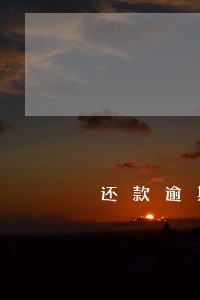 还款逾期了别的网贷知道吗