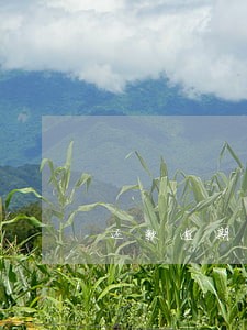 还款逾期信用记录几年消除 还款逾期信用记录几年消除