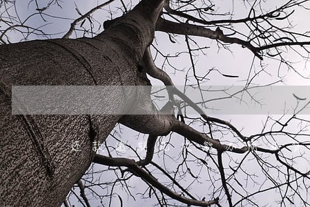 还款逾期几次能办商业贷款 还款逾期几次能办商业贷款