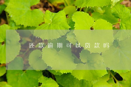 还款逾期可以贷款吗 还款逾期可以贷款吗