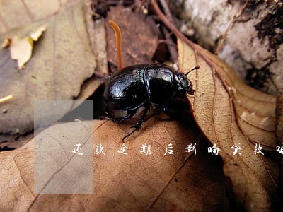 还款逾期后影响贷款吗 还款逾期后影响贷款吗