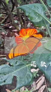还款逾期影响公积金贷款吗 还款逾期影响公积金贷款吗