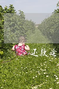 还款逾期未还银行本金会增加吗 还款逾期未还银行本金会增加吗