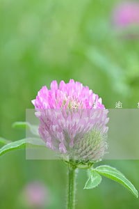 还款逾期记录算不良信用记录么 还款逾期记录算不良信用记录么