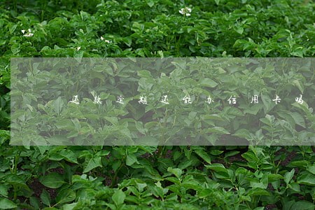 还款逾期还能办信用卡吗 还款逾期还能办信用卡吗