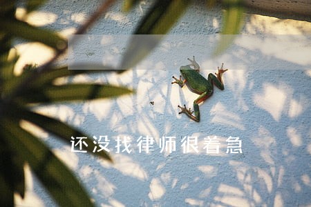 还没找律师很着急 还没找律师很着急