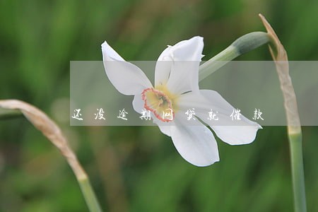 还没逾期网贷就催款 还没逾期网贷就催款