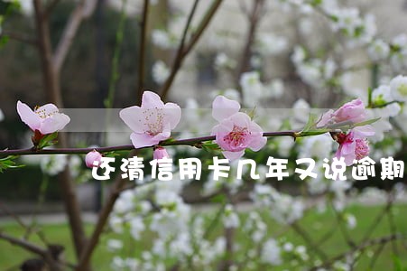 还清信用卡几年又说逾期 还清信用卡几年又说逾期