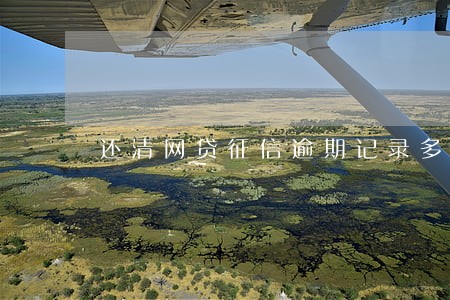 还清网贷征信逾期记录多久消除 还清网贷征信逾期记录多久消除