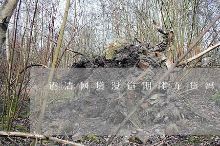 还清网贷没逾期能车贷吗 还清网贷没逾期能车贷吗