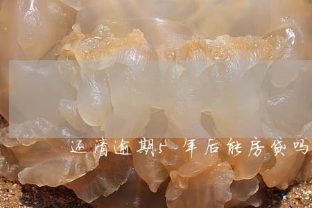 还清逾期5年后能房贷吗 还清逾期5年后能房贷吗