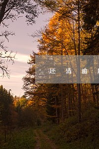 还清逾期后多久可以申请信用卡