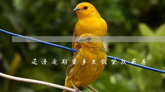 还清逾期要多久能贷款买房 还清逾期要多久能贷款买房