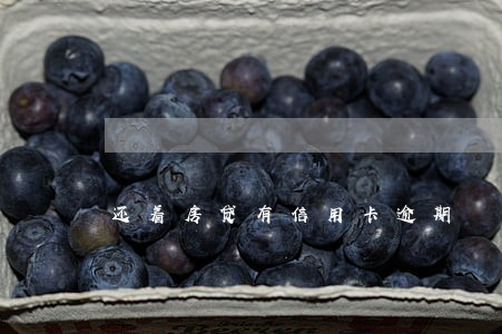 还着房贷有信用卡逾期 还着房贷有信用卡逾期