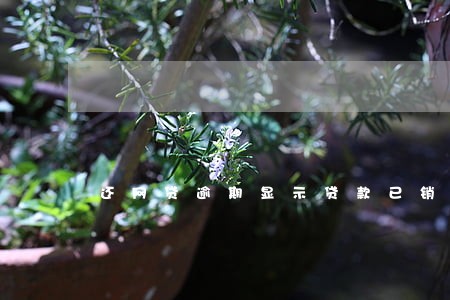 还网贷逾期显示贷款已销帐 还网贷逾期显示贷款已销帐
