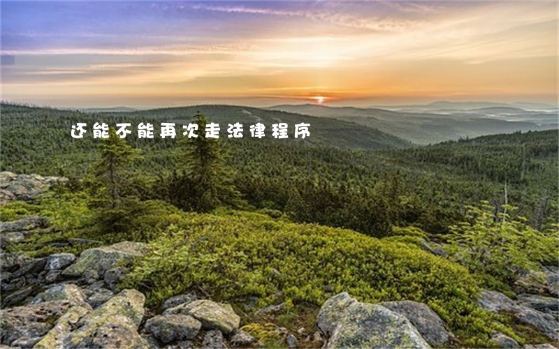 还能不能再次走法律程序 还能不能再次走法律程序