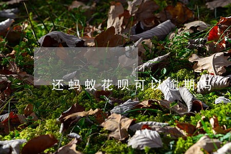 还蚂蚁花呗可以逾期吗 还蚂蚁花呗可以逾期吗