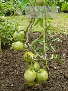 还被扣了钱显示逾期1天 还被扣了钱显示逾期1天