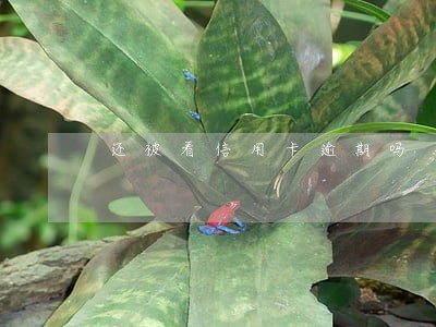 还被看信用卡逾期吗 还被看信用卡逾期吗