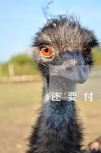 还要付法院的受理费和执行费吗 还要付法院的受理费和执行费吗