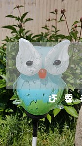 还要承担他找的律师费六千元 还要承担他找的律师费六千元