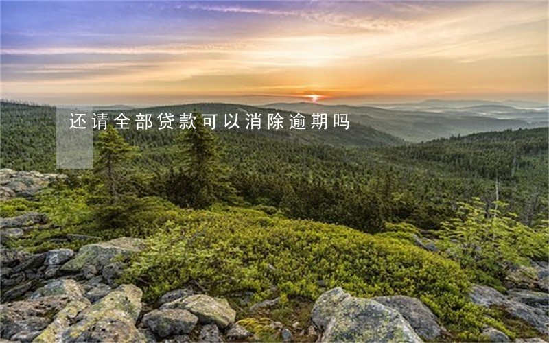 还请全部贷款可以消除逾期吗 还请全部贷款可以消除逾期吗
