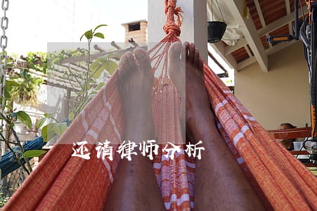 还请律师分析