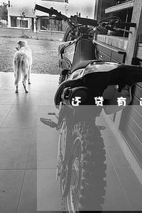 还贷有逾期能贷款 还贷有逾期能贷款